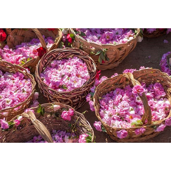 عرق گلاب ممتاز 1 لیتری گلاب طوبی - تصویر 3