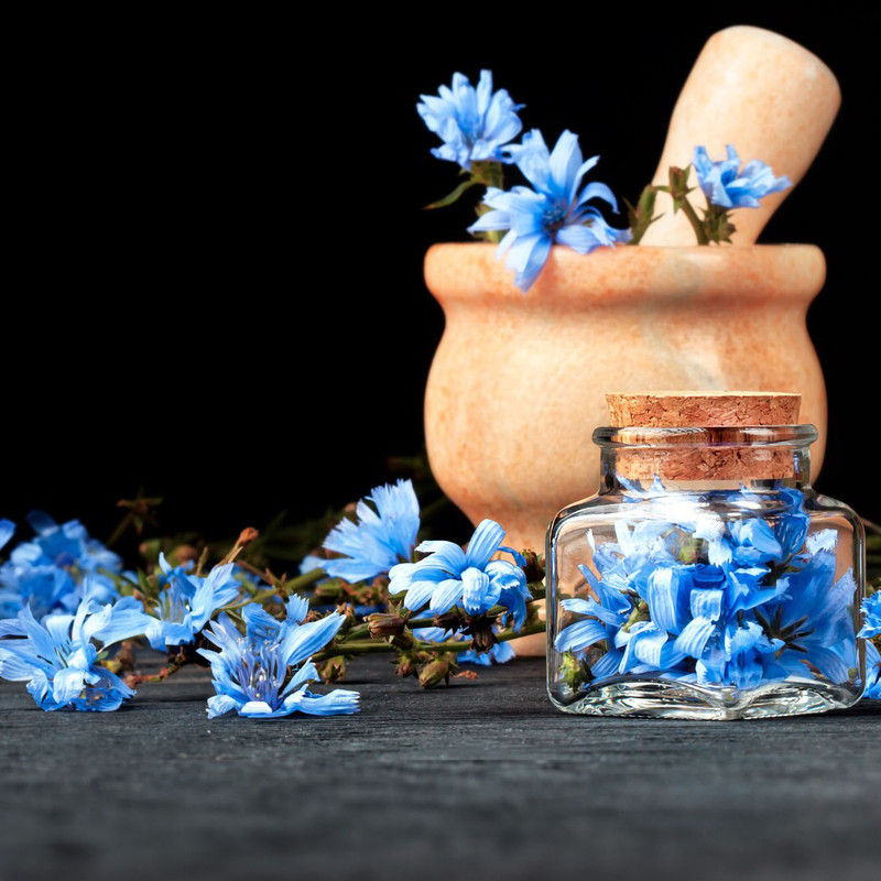 عرق کاسنی 1 لیتری ژیک - تصویر 2