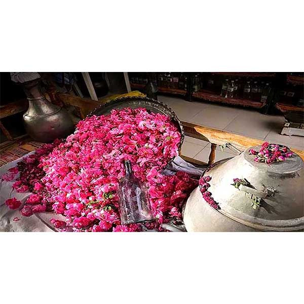 عرق کلپوره گلاب 1 لیتری طوبی - تصویر 3